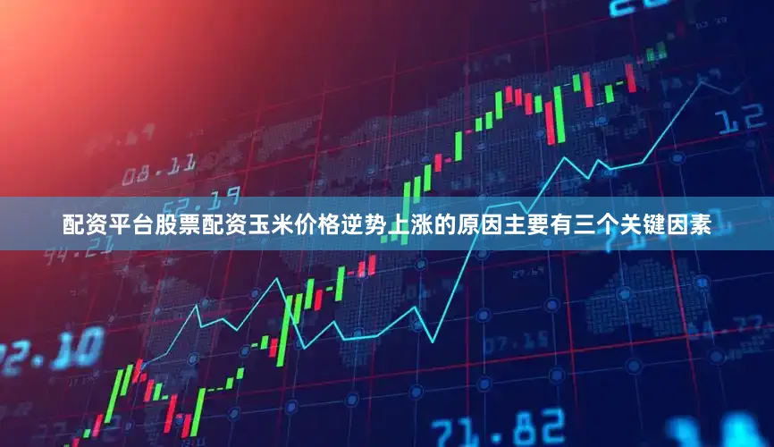 配资平台股票配资玉米价格逆势上涨的原因主要有三个关键因素