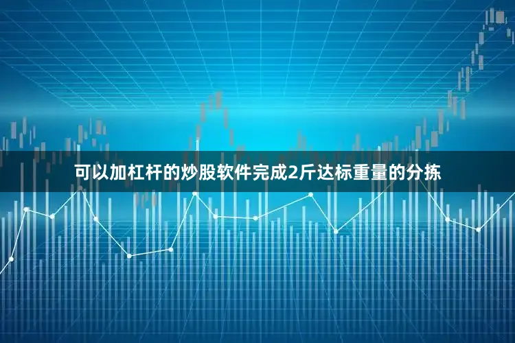 可以加杠杆的炒股软件完成2斤达标重量的分拣