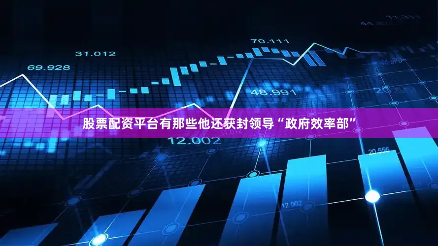 股票配资平台有那些他还获封领导“政府效率部”