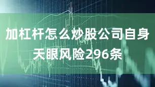 加杠杆怎么炒股公司自身天眼风险296条