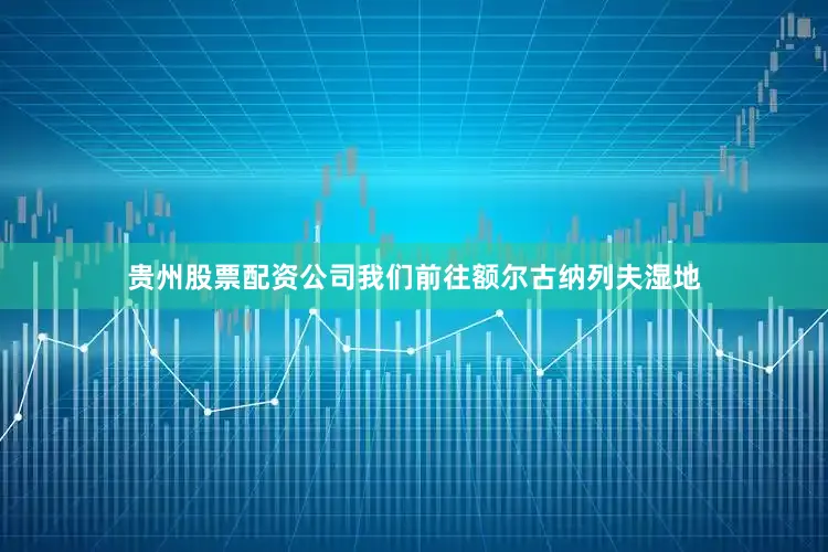 贵州股票配资公司我们前往额尔古纳列夫湿地